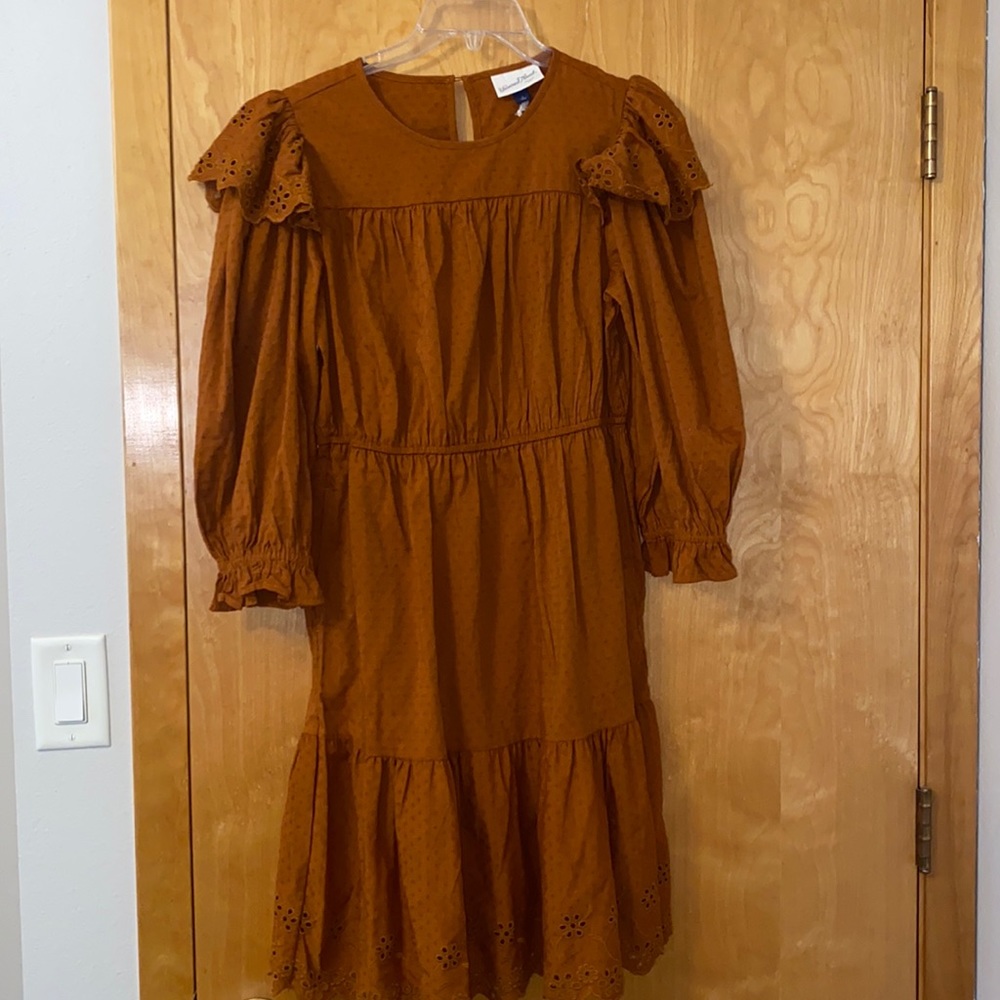 Long Sleeve Burnt Orange Dress